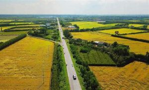 Long An Từ Cánh Đồng Đến Khu Công Nghiệp 2024