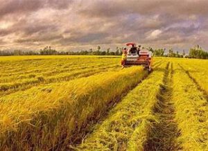 Những Bước Chuyển Mình Của Công Nghiệp Long An 2024