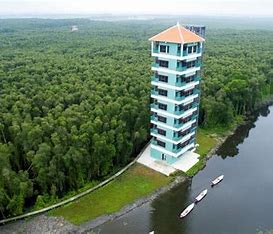 Top Những Khách Sạn Long An Tiện Nghi Và Sang Trọng 2024