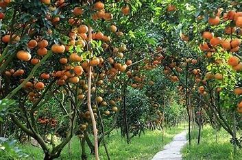 Khám Phá Tiềm Năng Đầu Tư Tại Long An Năm 2024