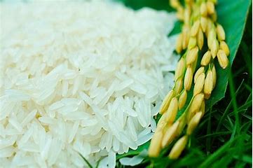 Điểm Danh Những Nơi Mua Sắm Độc Đáo Ở Long An 2024